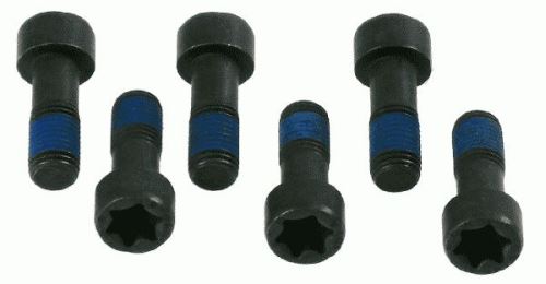 SACHS Screw Set, flywheel - 1874 000 035