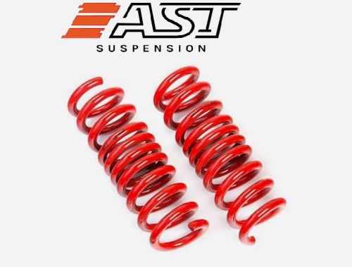 AST 25MM Rear Lowering Springs SMART MC01 1998>2001 ASTLS-14-2169