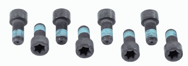 SACHS Screw Set, flywheel - 1874 000 032