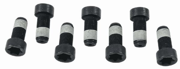 SACHS Screw Set, flywheel - 1874 000 043